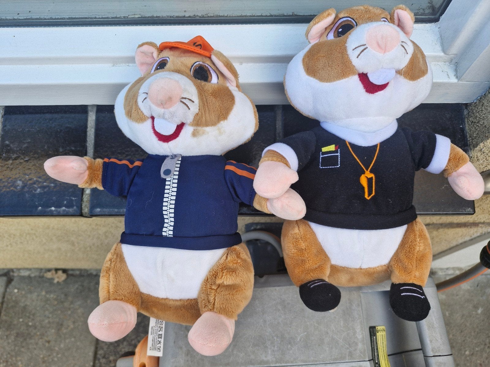 albertheijn hamsters, Albert Heijn, Ophalen