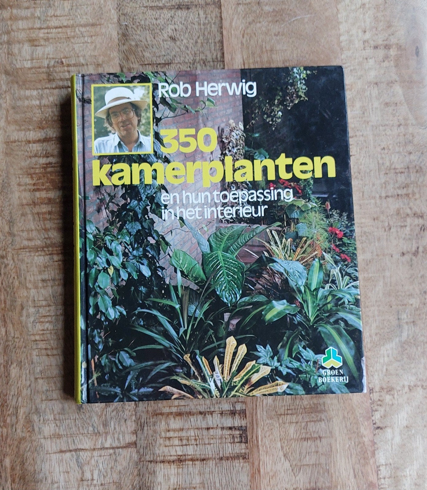 BOEK 350 Kamerplanten, Boeken, Ophalen of Verzenden, Nieuw, Rob Herwig, Kamerplanten