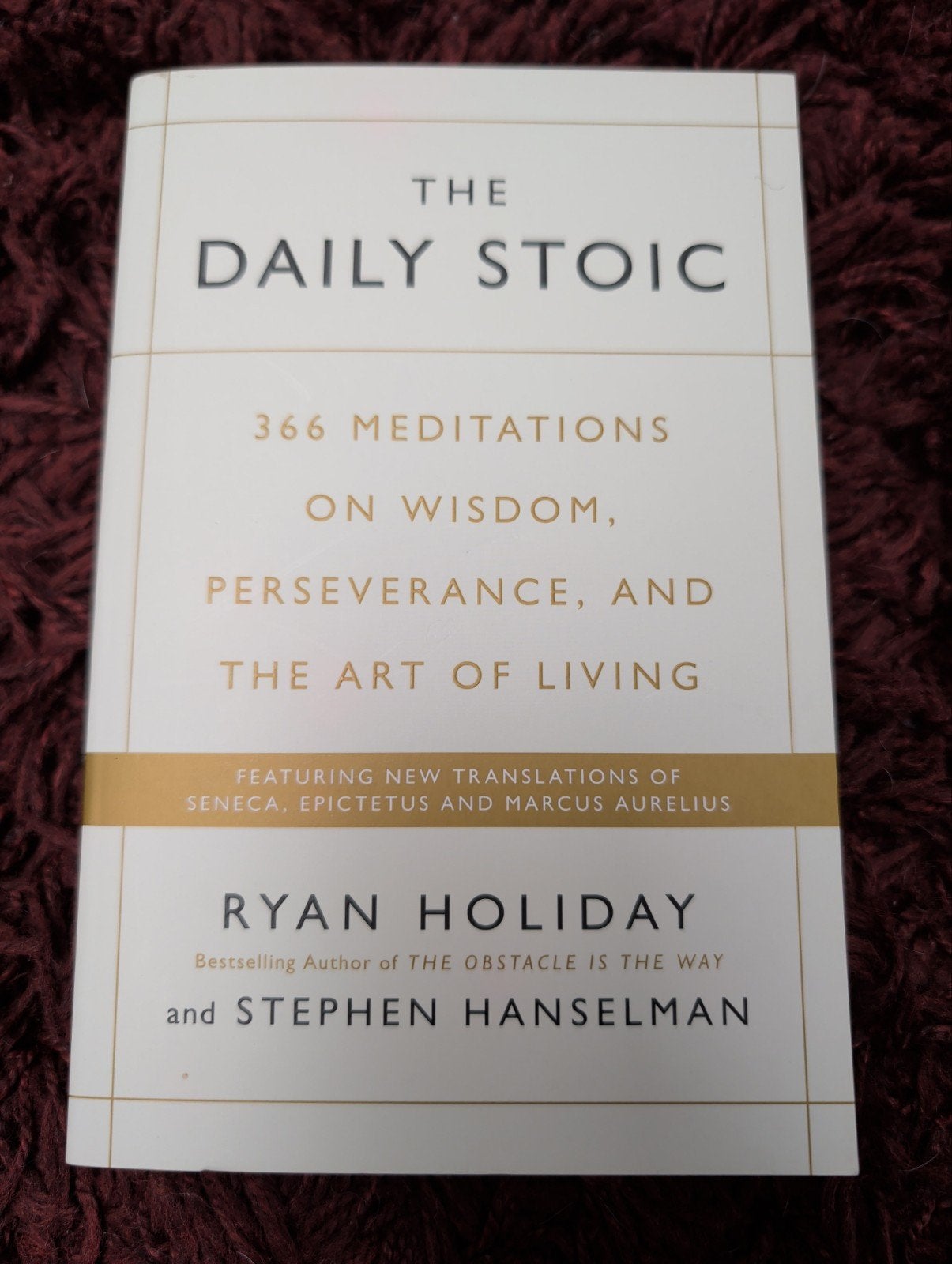 The Daily Stoic: 366 Meditaties voor Wijsheid en Leven, Boeken, Ophalen of Verzenden, Gelezen, Praktische filosofie, Ryan Holiday en Stephen Hanselman
