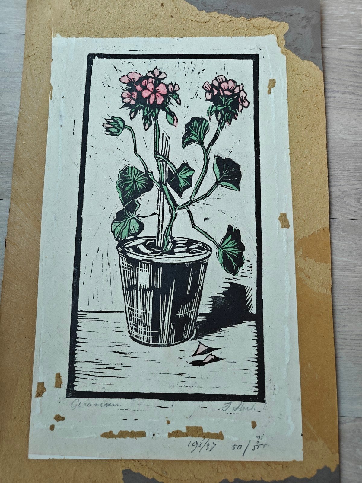 Geranium - Originele Houtsnede door J. Sterk, Ophalen, Origineel, Houtsnede, Flora en Fauna