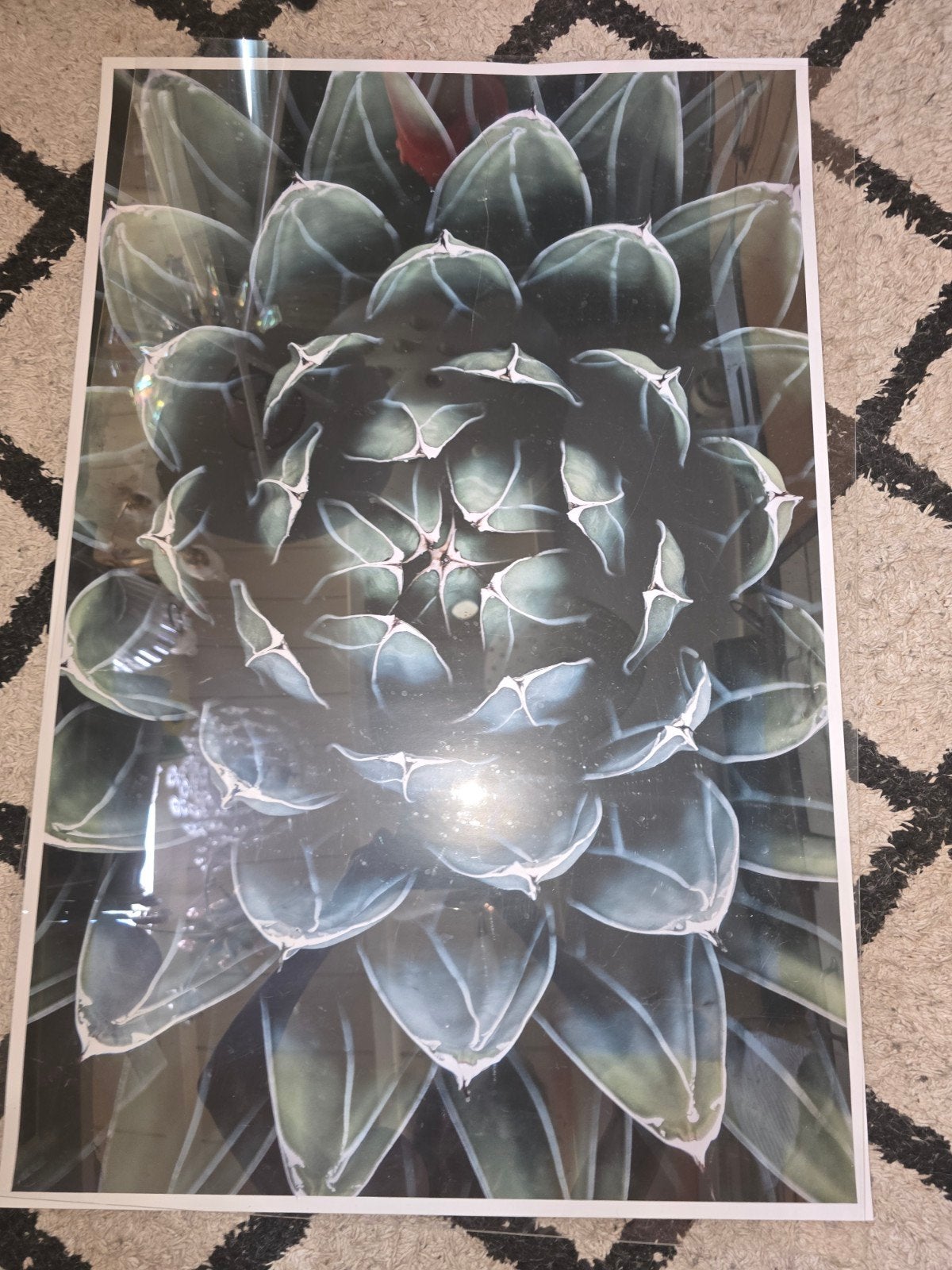 Foto poster, Ophalen