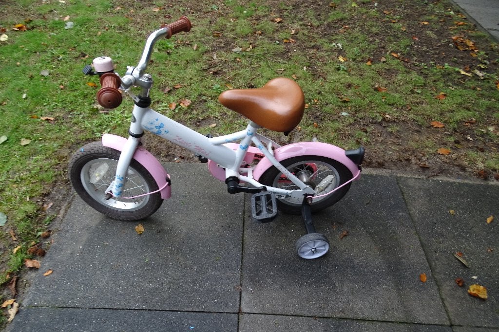 kinderfietsje meisje   roze met zijsteuntjes, Ophalen, Terugtraprem, Zijwieltjes, Popal