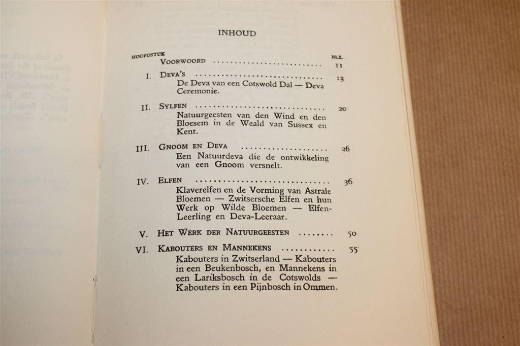 Het Elfenrijk — Hodson, Zeldzaam met Stofomslag 1929, Ophalen of Verzenden, Gelezen, Overige onderwerpen, Achtergrond en Informatie