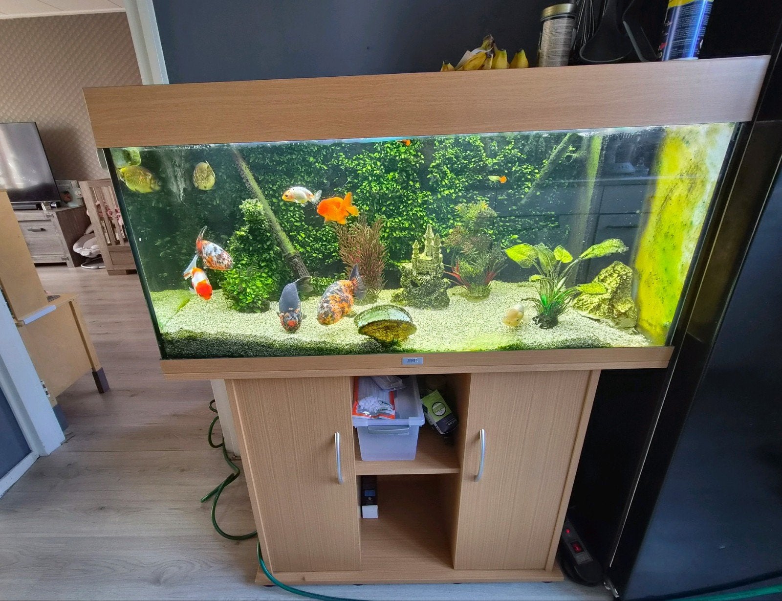juwel aquarium met meubel, Dieren en Toebehoren, Ophalen of Verzenden, Zo goed als nieuw, Juwel, Inclusief deksel