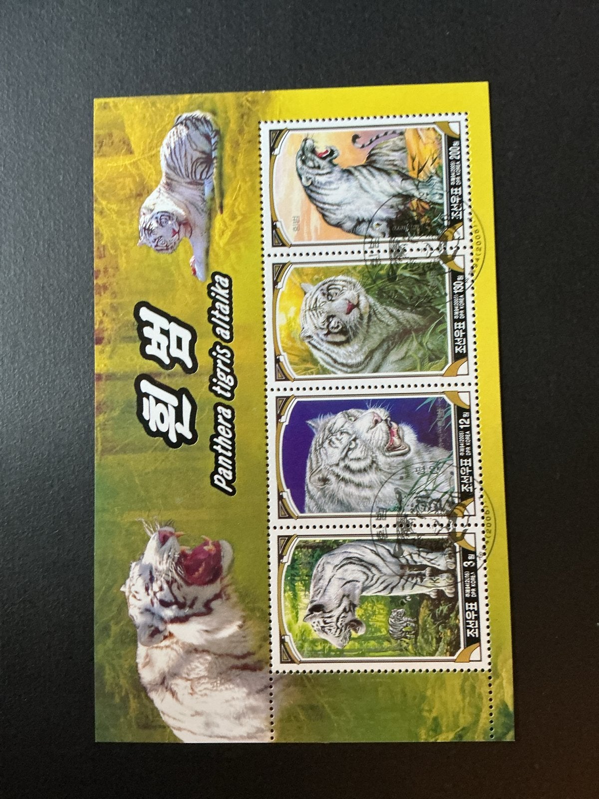 Zeldzame Noord-Koreaanse postzegels: Tijgers en Serval, Ophalen of Verzenden, Gestempeld, Oost-Azië