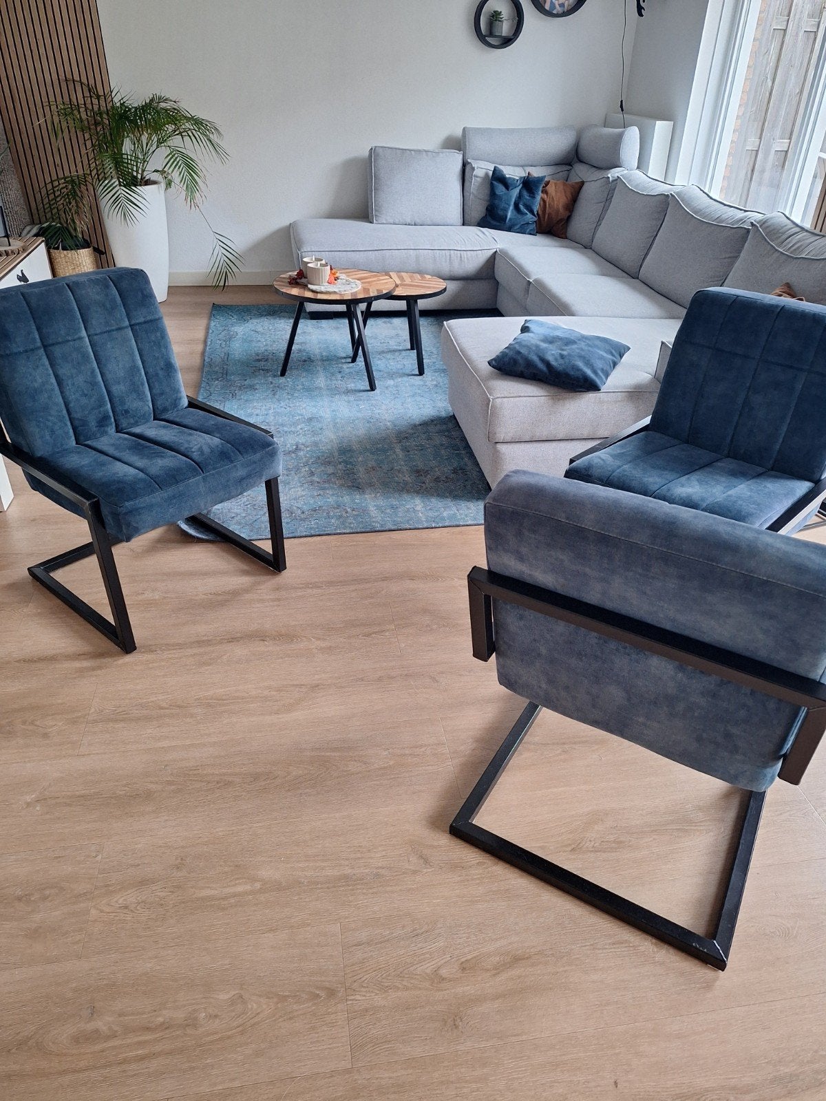 Vloerkleed, 2 kussens en 3 eetkamerstoelen - snel ophalen!, Ophalen, Gebruikt, Blauw, 150 tot 200 cm