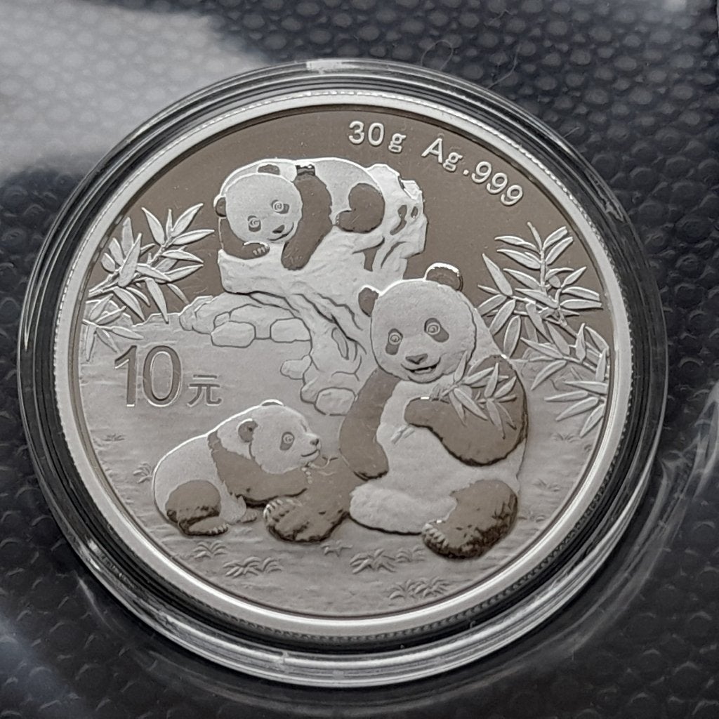 2025 Panda 30 gram zilver - 10 yuan, Ophalen of Verzenden, Oost-Azië, Zilver