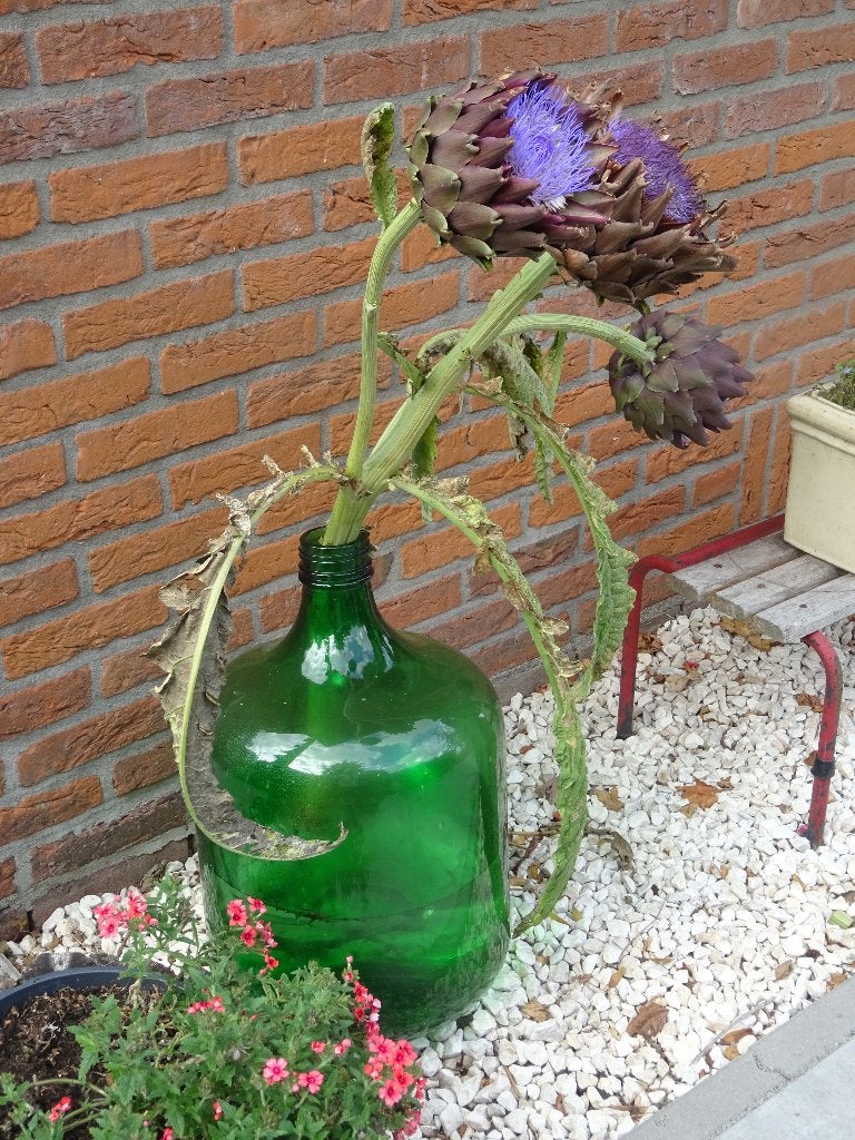 mooie grote groene Franse gistfles, Ophalen