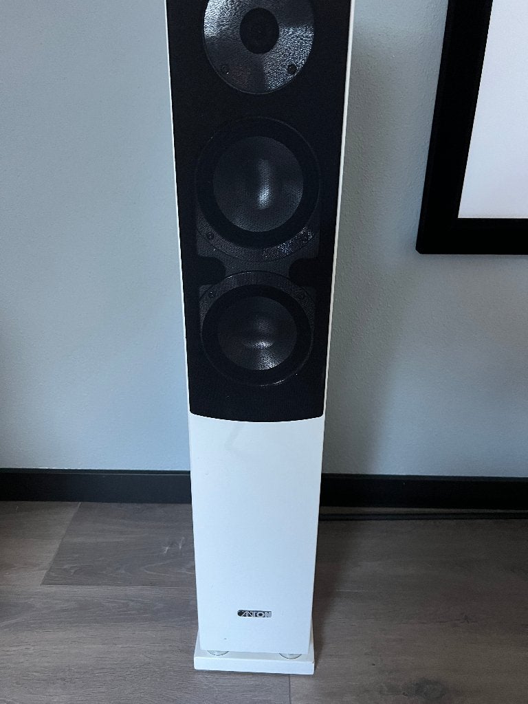 Luidsprekers Canton Chrono SL 570.2, Vloerstaande luidspreker, Gebruikt, 120 tot 150 watt, Ophalen