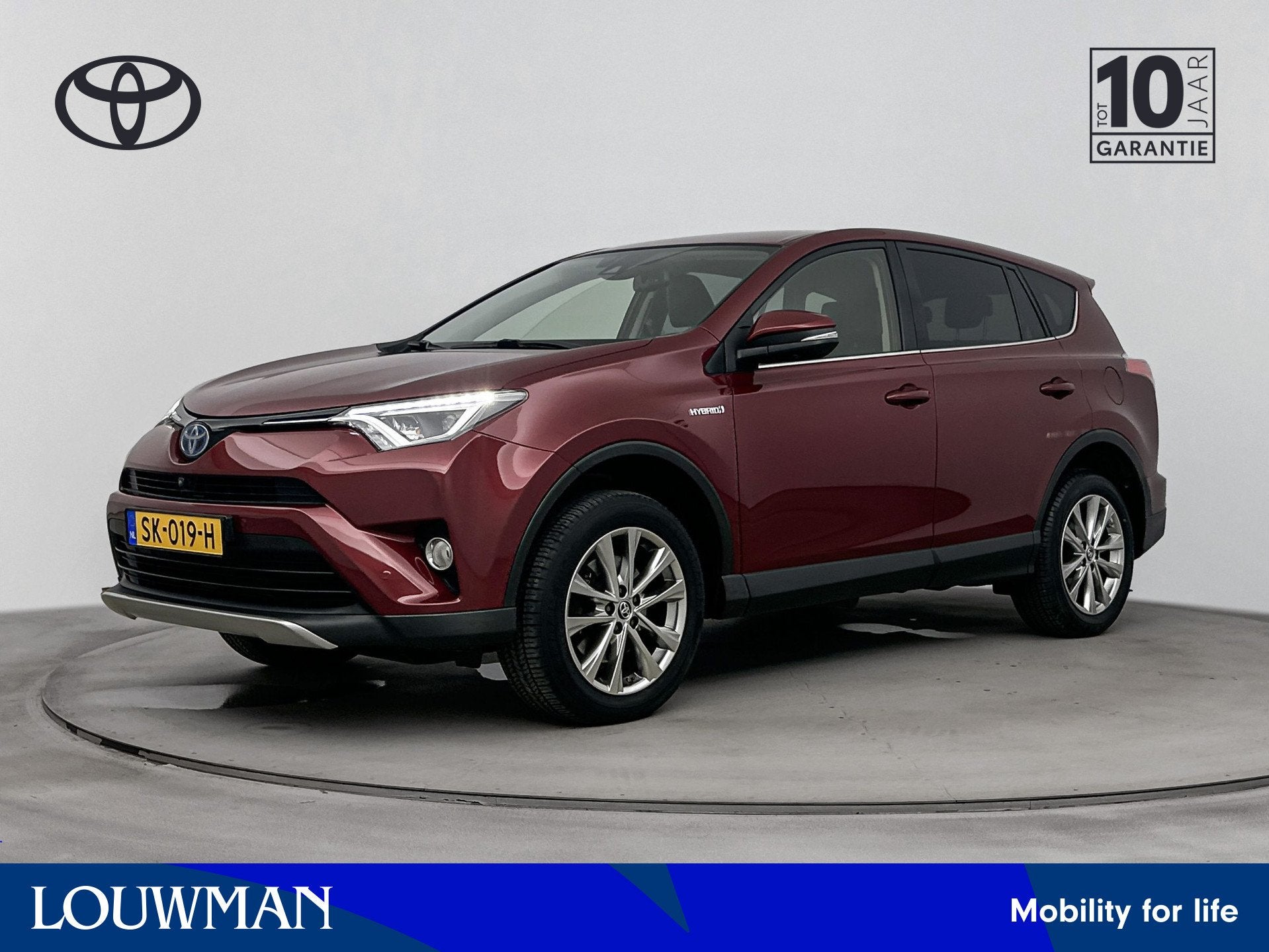 Toyota RAV4 2.5 Hybrid AWD Executive | Trekhaak - 1650KG Tre, Automaat, 12 maanden, 1650 kg, Bedrijf
