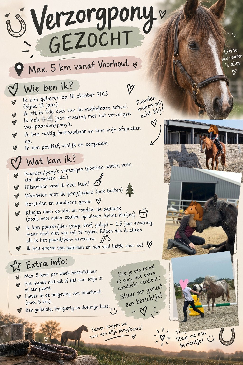verzorgpony gezocht!, Ophalen of Verzenden