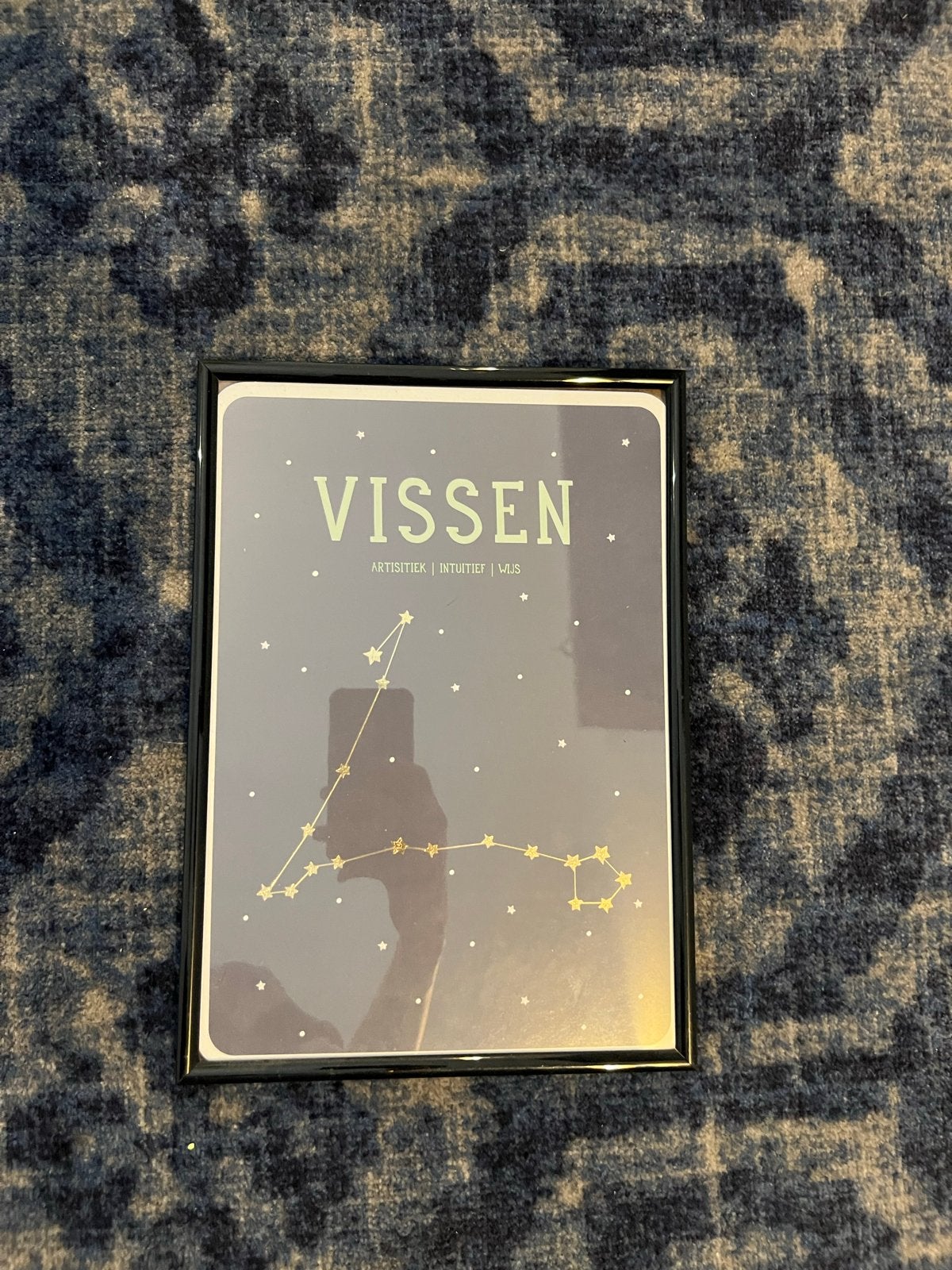 Ingelijste poster sterrenbeeld Vissen, Kunststof, Ophalen of Verzenden, Met afbeelding, Zwart