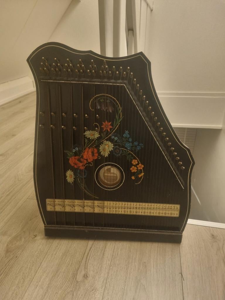 Antieke Citer met Bloemmotief - Uniek Muziekinstrument, Muziek en Instrumenten, Snaarinstrumenten | Overige, Gebruikt, Citer, Ophalen