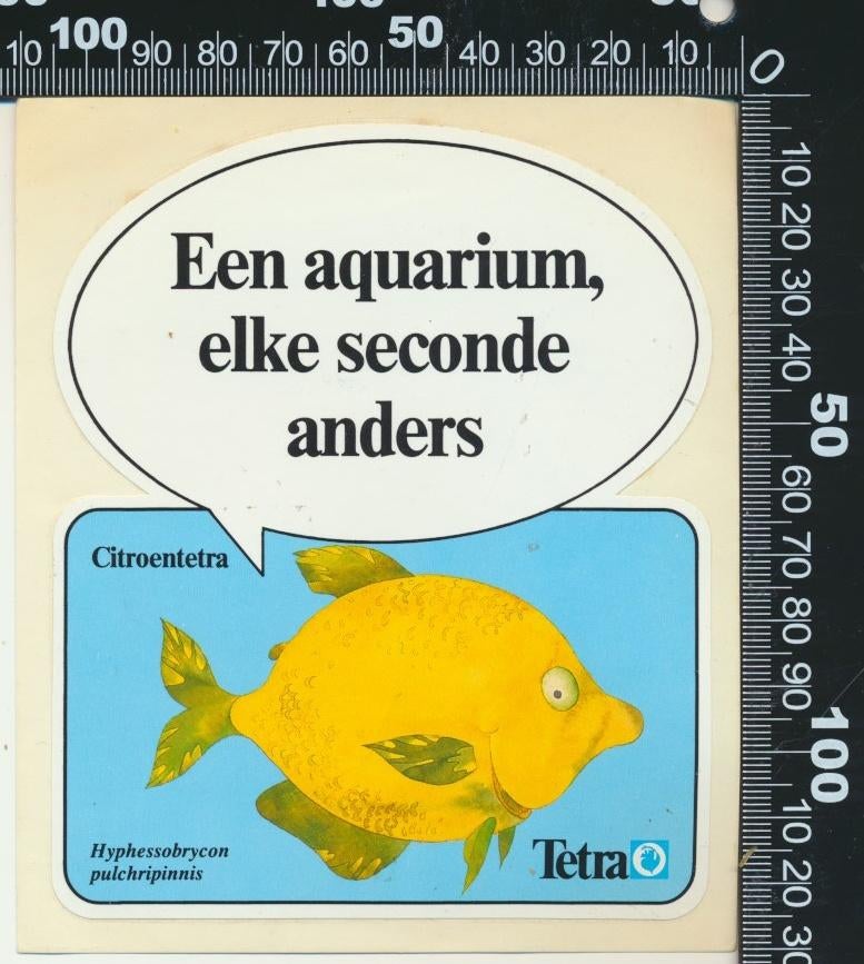 Sticker: Tetra - Citroentetra, Ophalen of Verzenden, Zo goed als nieuw, Dier en Natuur