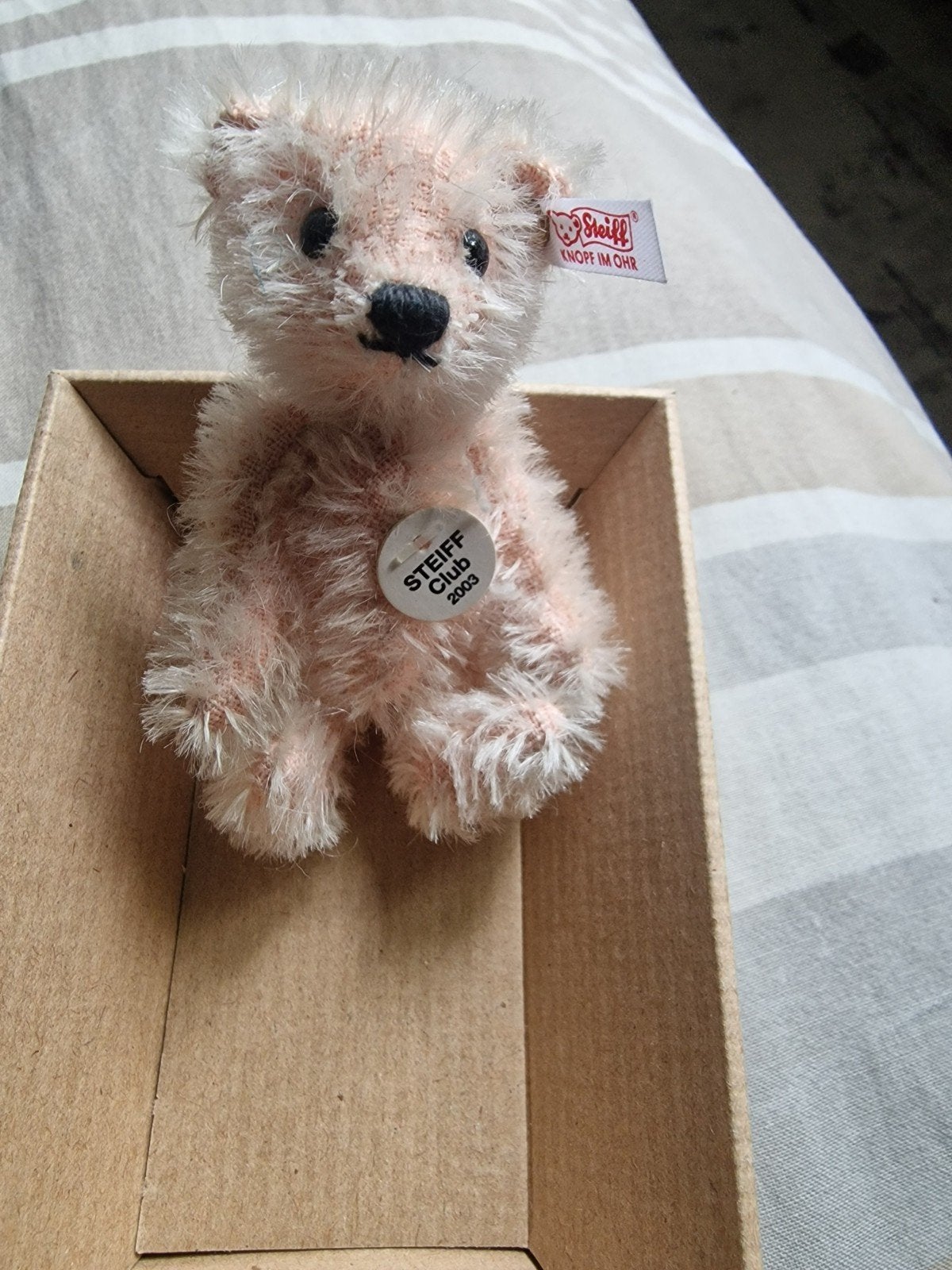 Steiff Club Teddybeer Rosa 7 cm - Club Geschenk 2003, Verzamelen, Beren en Cherished Teddies, Ophalen of Verzenden