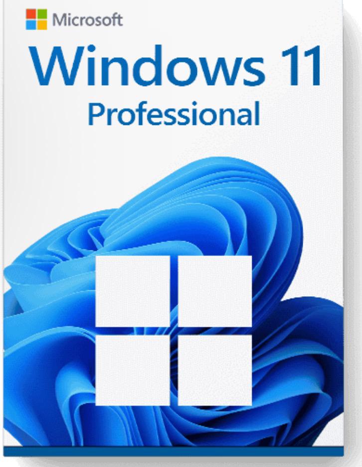 Microsoft Windows 11 Professional - Digitale Licentie, Ophalen of Verzenden, Nieuw, Windows