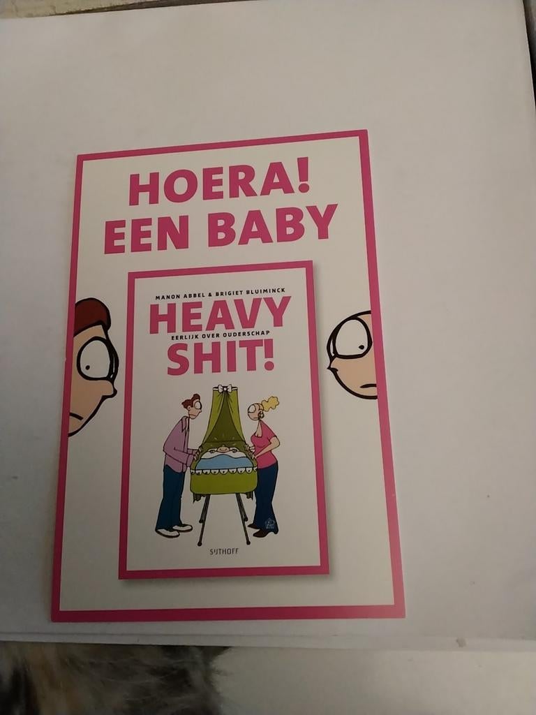 ANSICHTKAART VAN BOEK. HOERA ! EEN BABY, Ophalen of Verzenden, Patroon