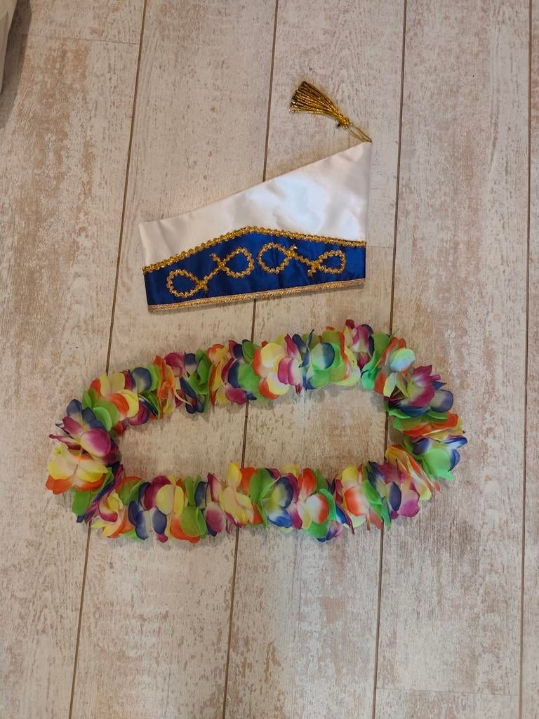 Carnaval spullen, Ophalen of Verzenden, Zo goed als nieuw, Carnaval