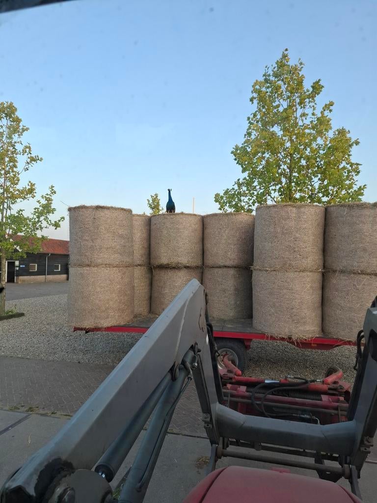Natuurland hooi rollen 300 kg met bezorgservice, Dieren en Toebehoren, Dierenvoeding, Ophalen of Verzenden, Vee