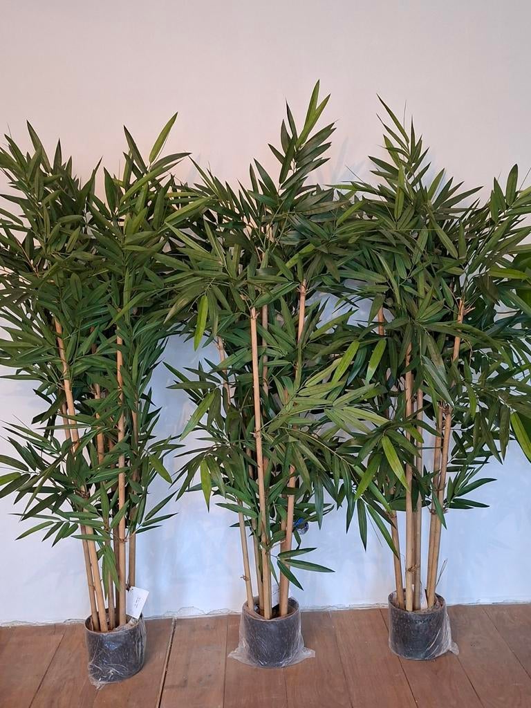 Bamboe kunstplanten ca 160cm, Ophalen, Binnen, Tree factory, Onbekend