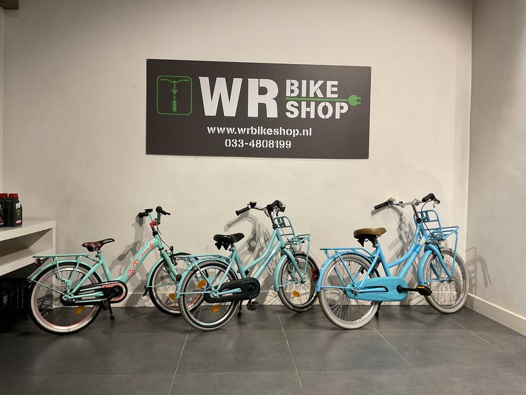 Te koop 2x Alpina Cargo 1x Alpina Girlpower, Fietsen en Brommers, Fietsen | Meisjes, Gebruikt, 18 inch, Ophalen
