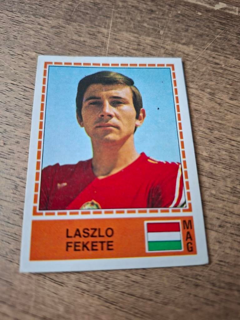 Panini,  EK Euro 80, nummer 222., Ophalen of Verzenden, Sticker