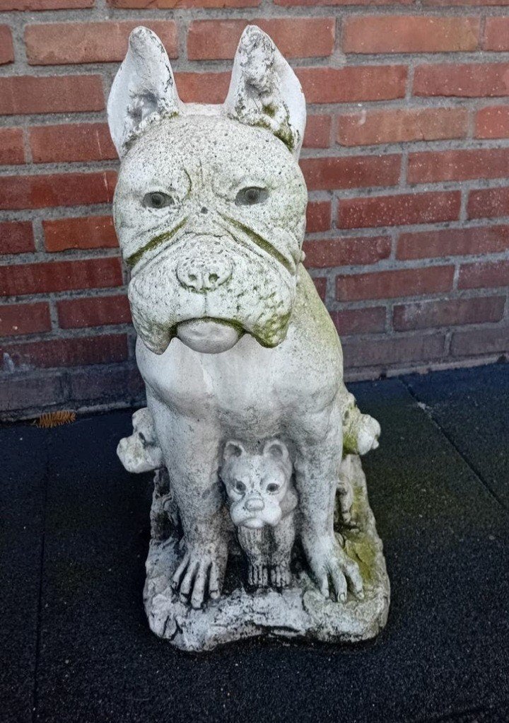 betonnen beeld van een hond, Ophalen, Beton