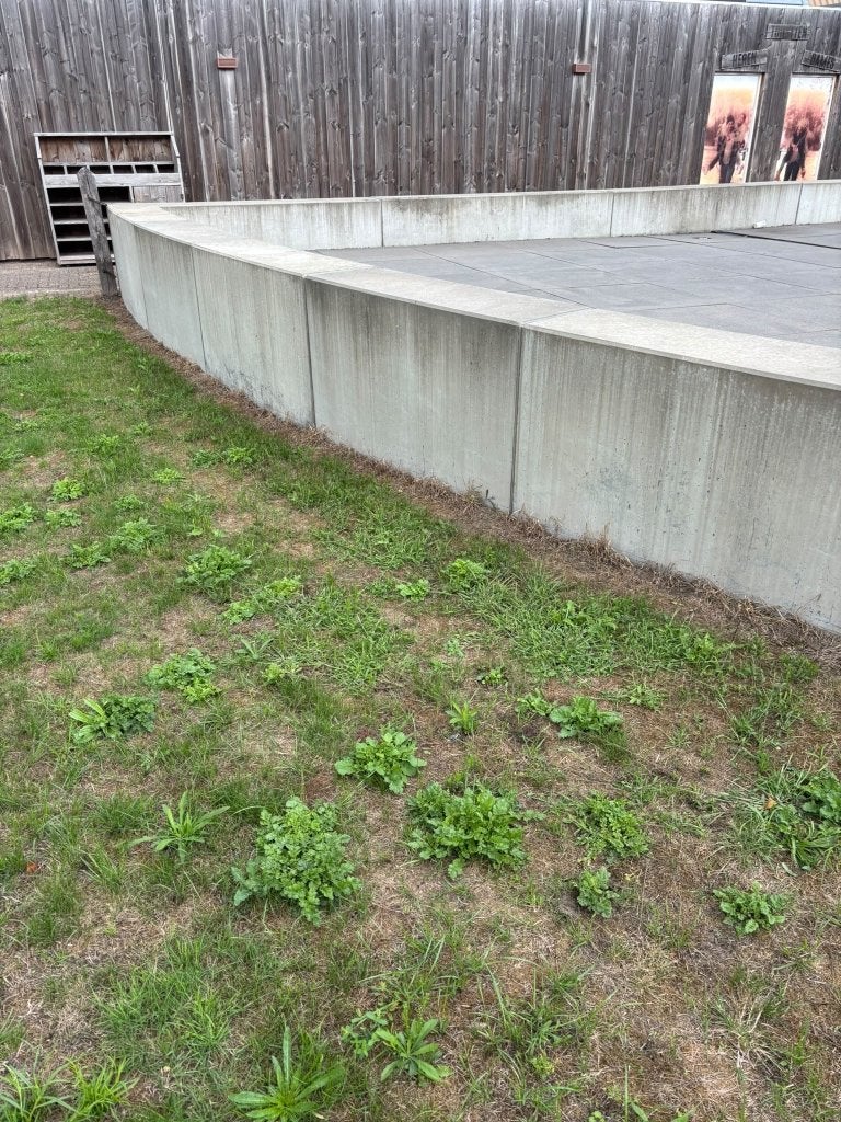 Keerwand / Parkbanden - Diverse afmetingen, Ophalen, Gebruikt, 200 cm of meer, 50 cm of meer