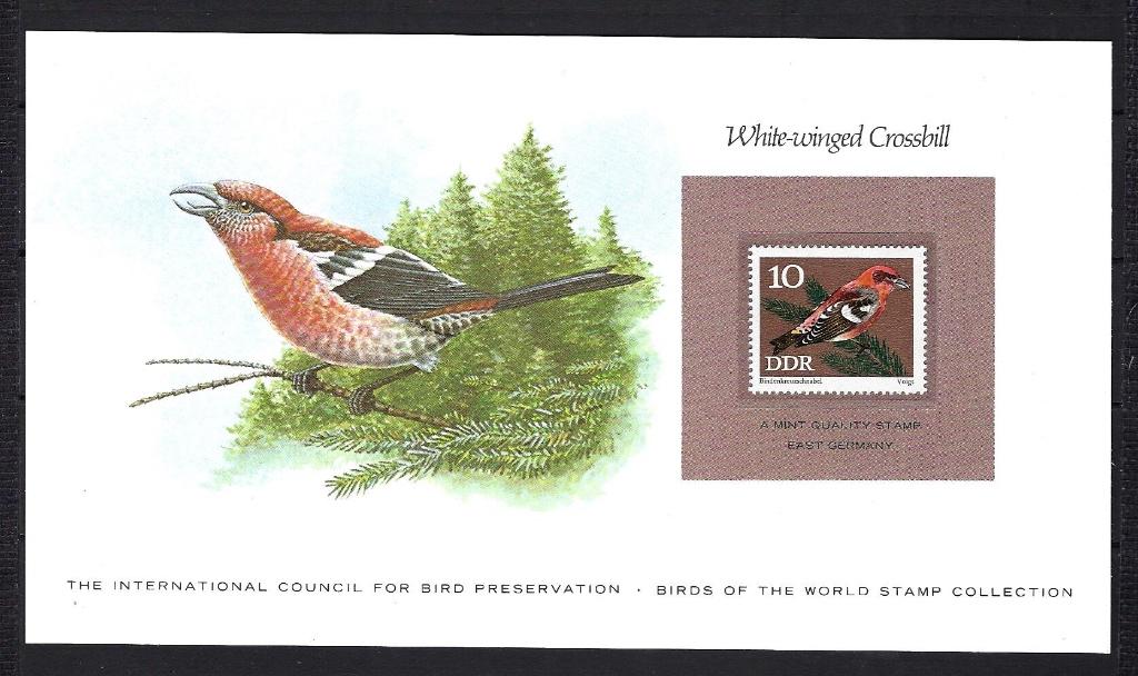 VOGELS kaart DDR White-winged Crossbill (zegel XX), Ophalen of Verzenden, Postfris, Dier of Natuur