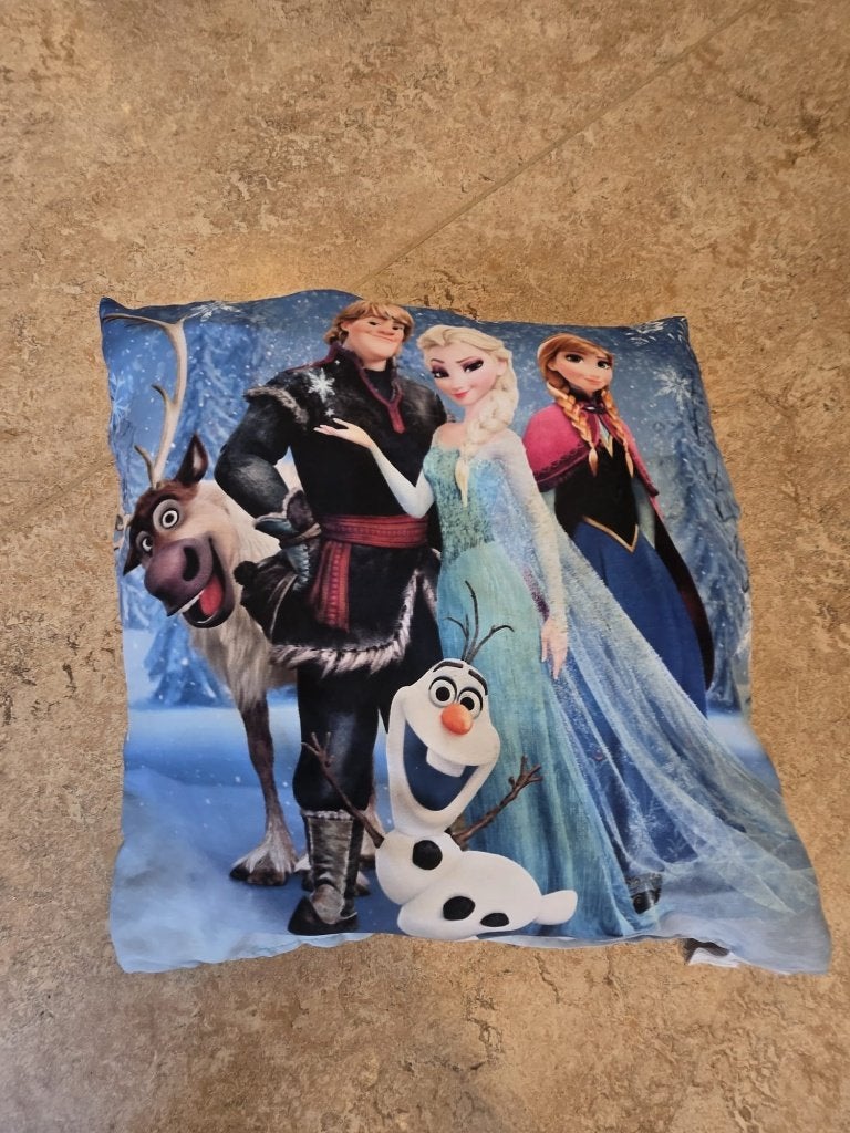 Kussentje Frozen, Ophalen, Gebruikt, Kleed of Kussen