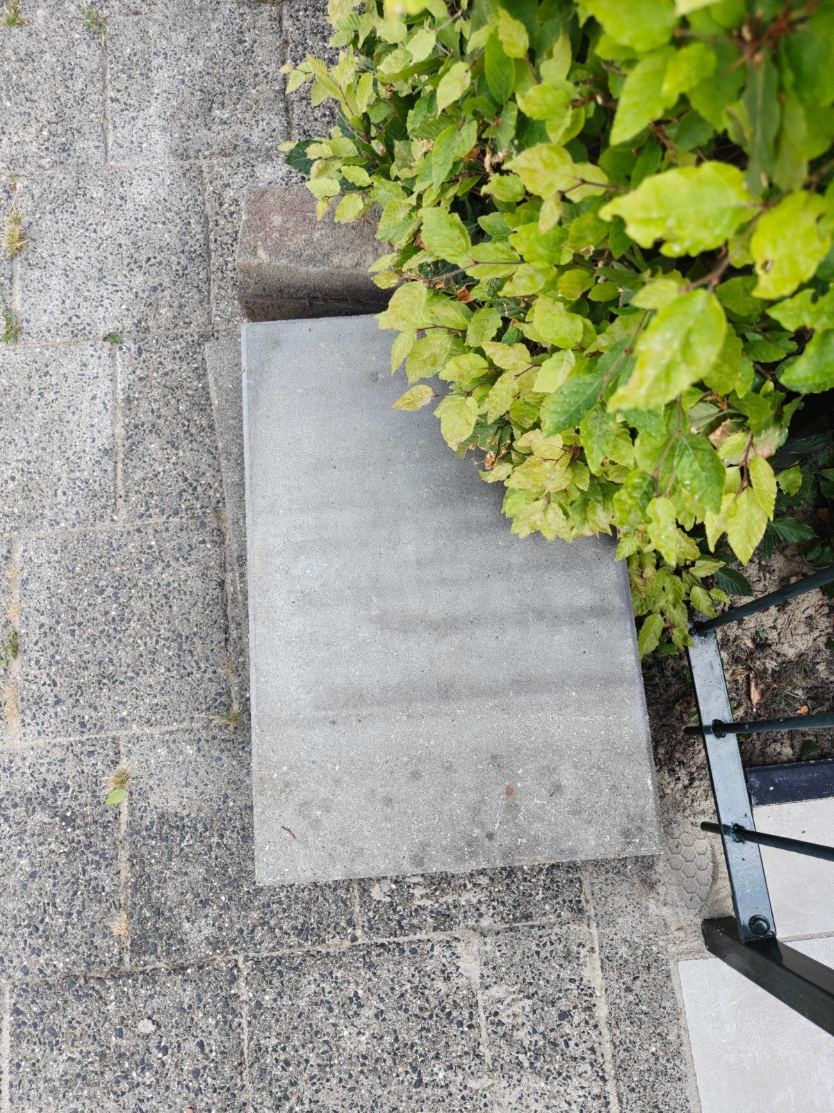 Gratis betontegels 60x40x5 cm - 6 stuks, Tuin en Terras, Tegels en Klinkers, Gebruikt, Ophalen of Verzenden, Minder dan 5 m², Beton