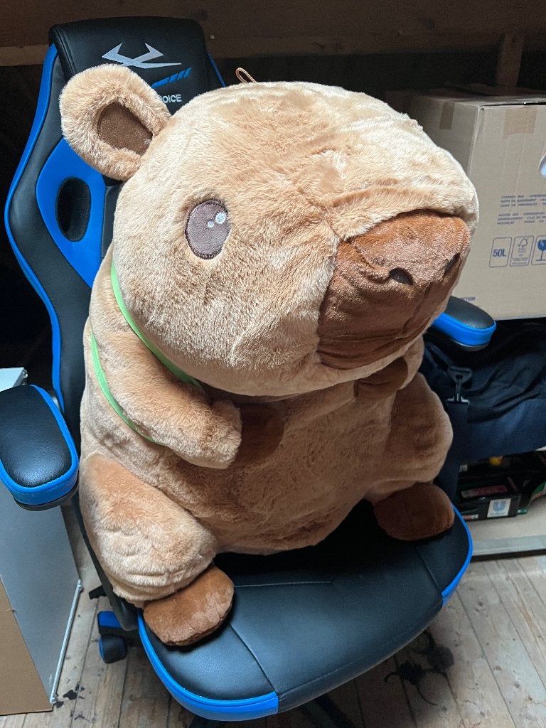 Diverse grote knuffels, Kinderen en Baby's, Speelgoed | Knuffels en Pluche, Ophalen, Nieuw, Overige typen, Middelgroot (20 tot 80 cm)