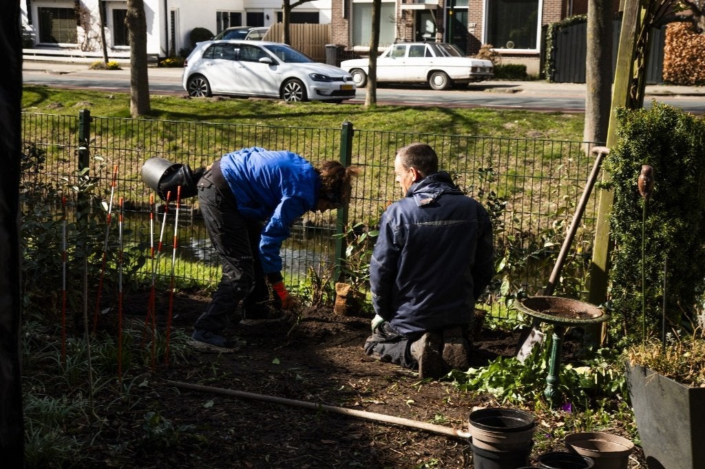 Compleet en all-round tuinonderhoud regio Haarlem, Garantie, Tuinonderhoud of Snoeiwerk