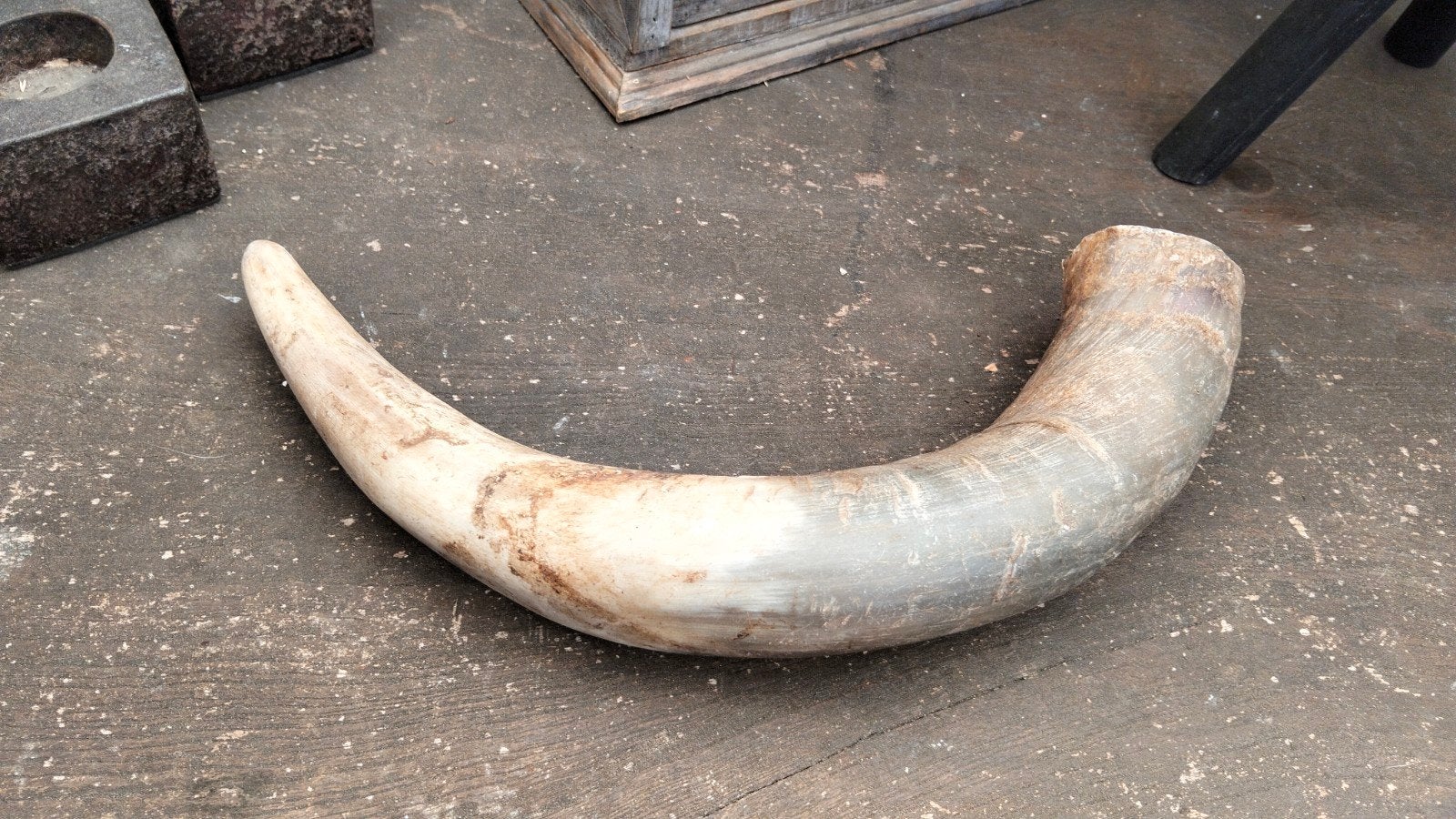 Brocante decoratieve hoorn (2), Ophalen of Verzenden