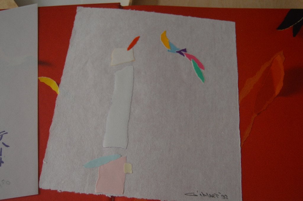 Gerard 't Hart - The paper paintings. Collage. + 2 boeken, Ophalen of Verzenden