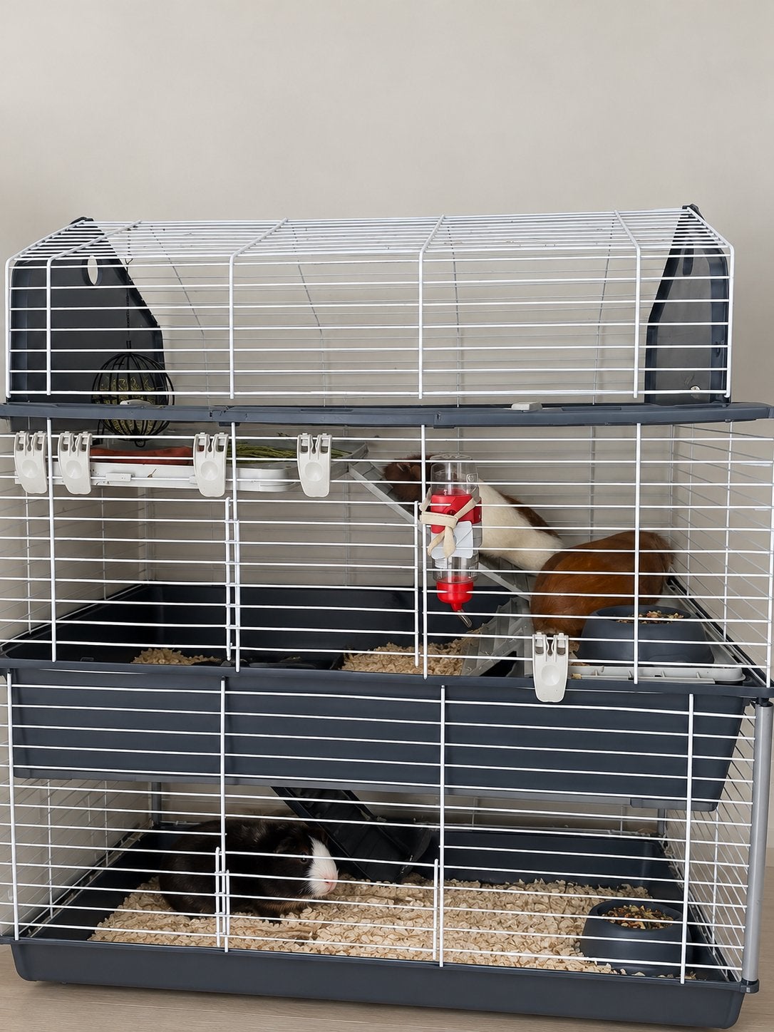 2 cavias te koop inclusief groot huis, Dieren en Toebehoren, Cavia, Februari, Vrouwelijk, Tam