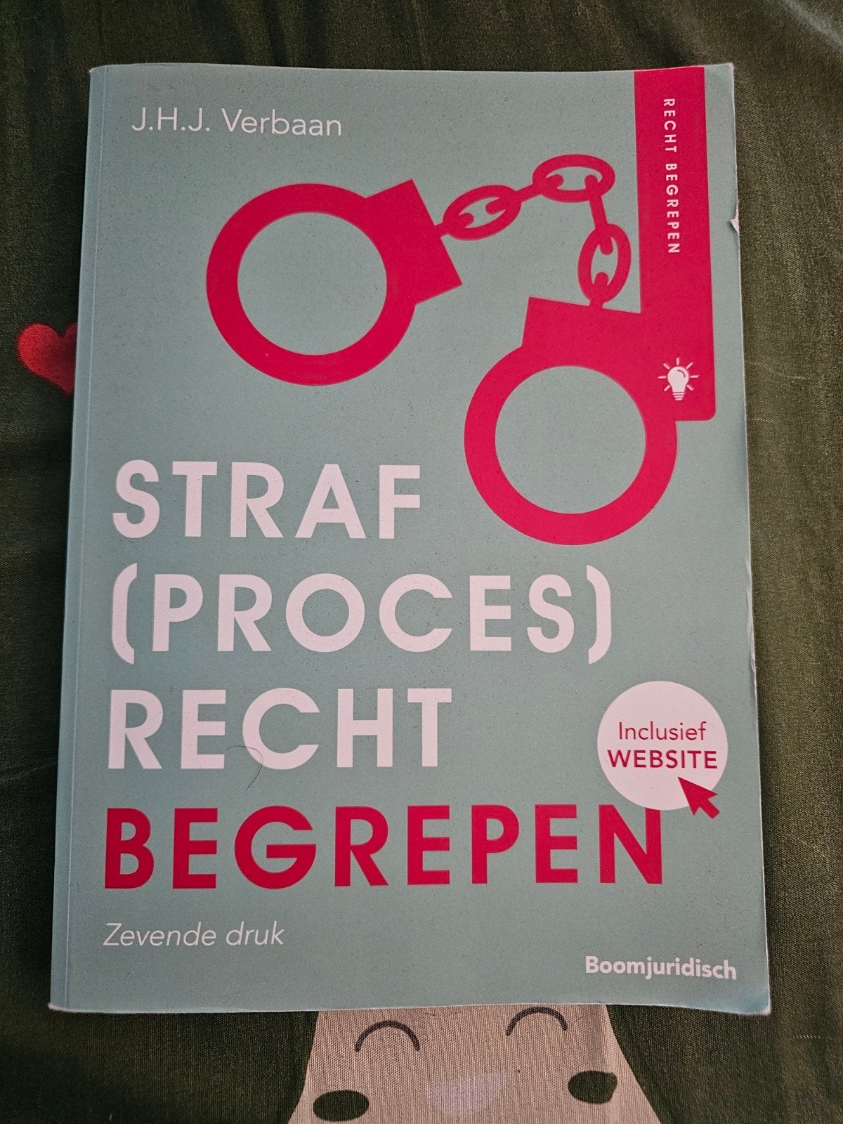 Straf(proces)recht Begrepen - J.H.J. Verbaan (7e druk), Ophalen, J.H.J. Verbaan, HBO, Zo goed als nieuw