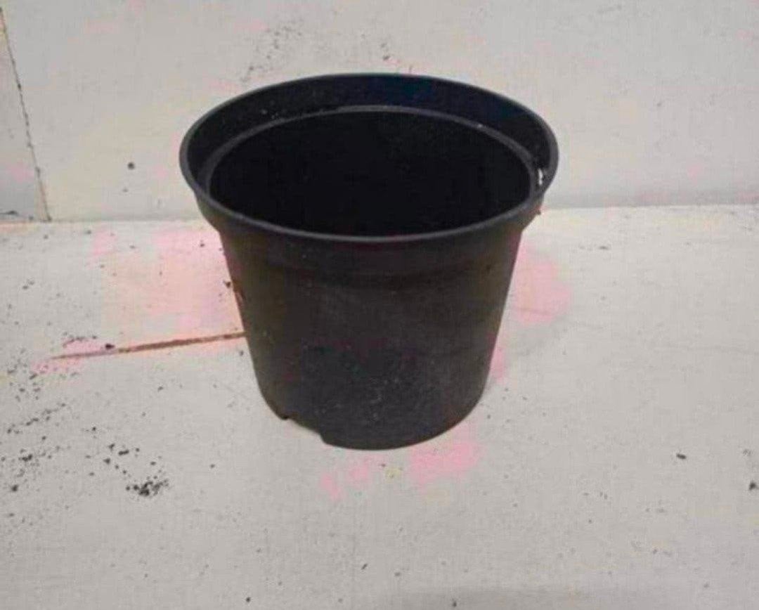 kweekpotten plantenpotten bloempotten 1,5 liter, Tuin en Terras, Kunststof, Gebruikt, Rond, Ophalen of Verzenden