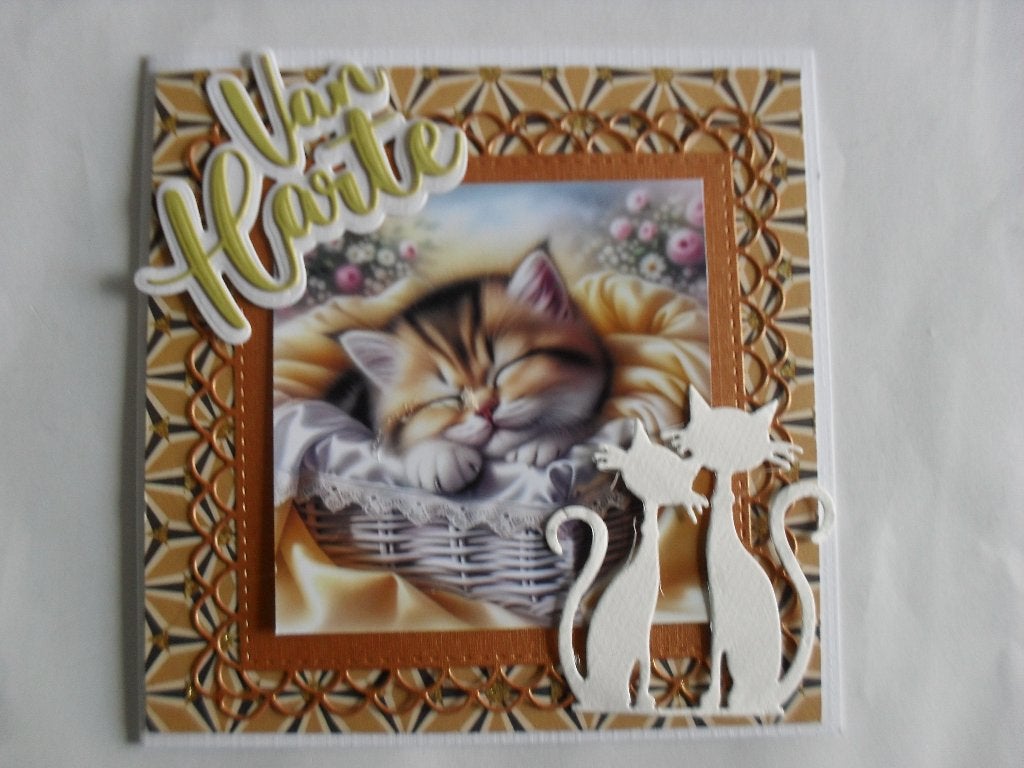 linnekaart set 361, Ophalen of Verzenden, Nieuw, Overige thema's, Pons of Mal