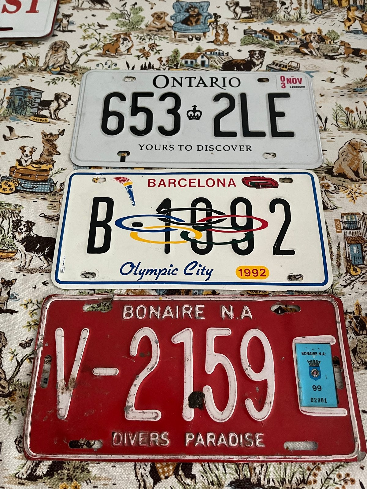 Unieke buitenlandse kentekenplaten - Ontario, Barcelona, Bon, Ophalen of Verzenden, Gebruikt, Auto's
