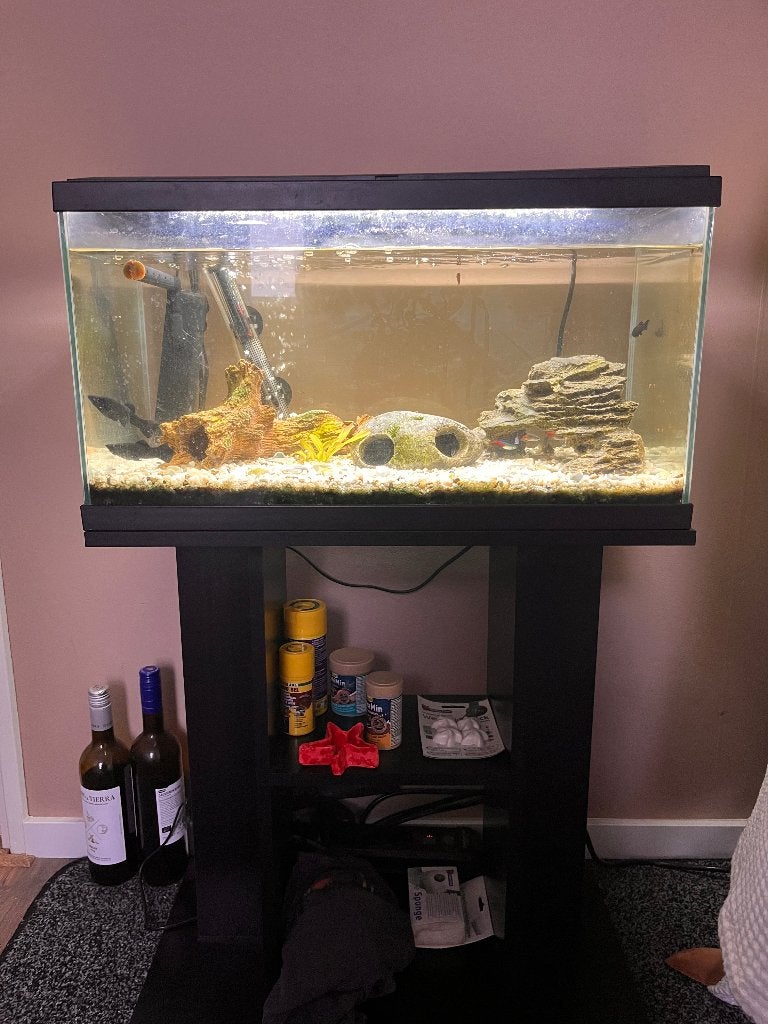 Aquarium 58 L + meubel, Dieren en Toebehoren, Ophalen, Overige merken, Inclusief vissen, Gevuld zoetwateraquarium