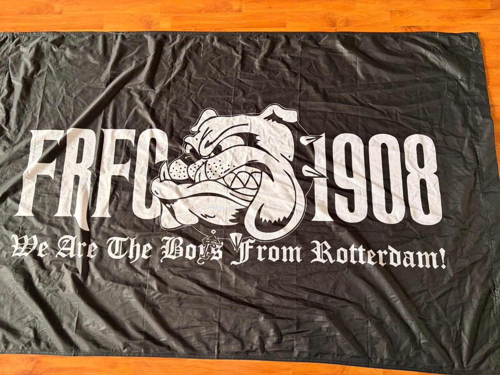Feyenoord vlag 100 cm x 150 cm en bal, Diversen, Vlaggen en Wimpels, Ophalen of Verzenden, Zo goed als nieuw