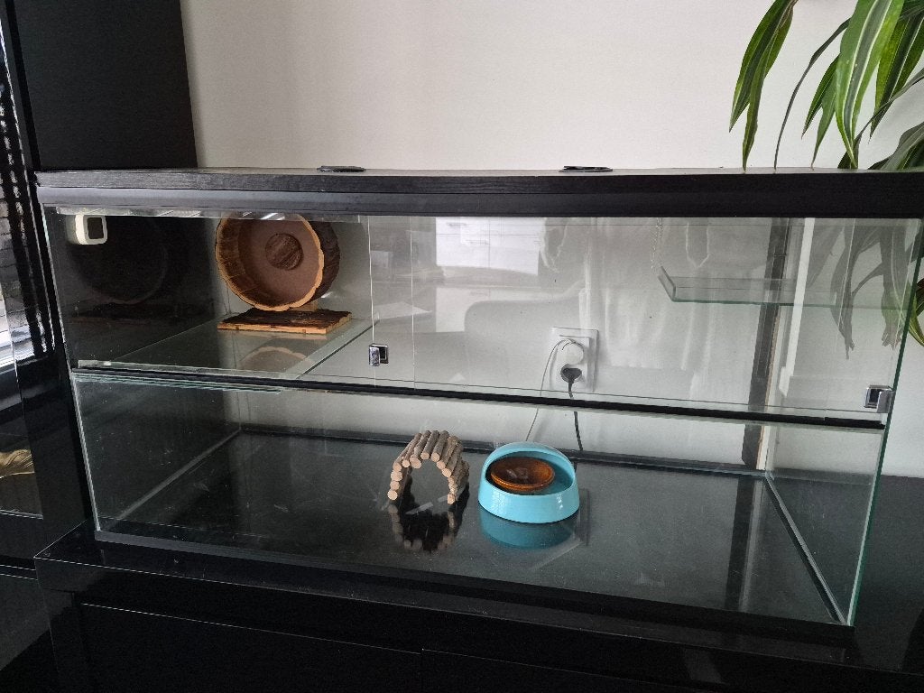 Terrarium voor oa Gerbils, Hamster, Zo goed als nieuw, Hok, 75 tot 110 cm
