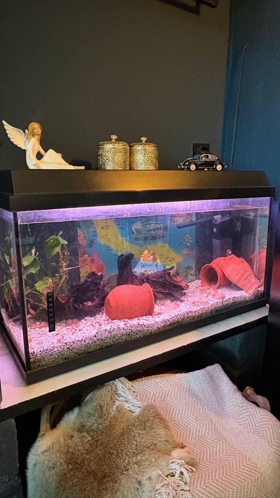 Aquarium te koop Juwel, Dieren en Toebehoren, Ophalen