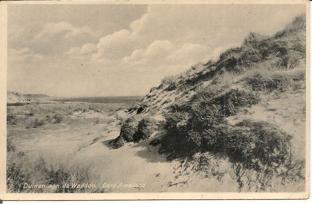 Oude ansichtkaart Duinen aan de Wadden Oerd Ameland, Ophalen of Verzenden, 1920 tot 1940, Gelopen, Waddeneilanden