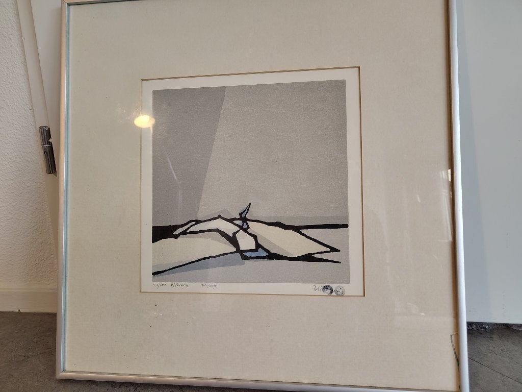 Zeefdruk Fon Klement: Paysage, Zeefdruk, Gesigneerd, Abstract, Ophalen