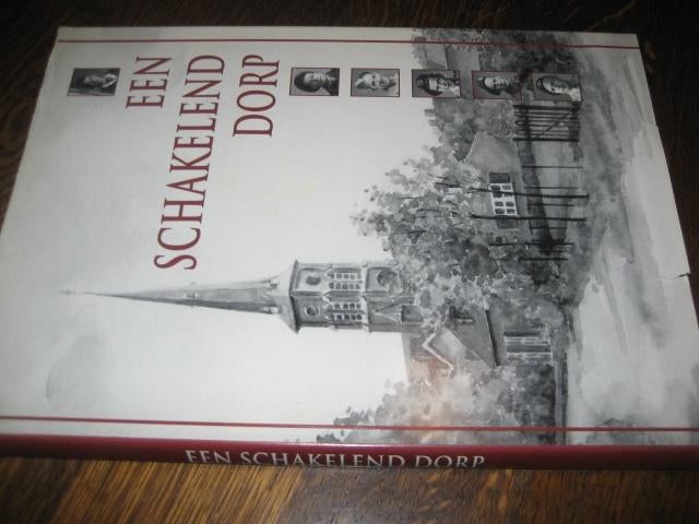 Roger van laere / een schakelend dorp, Boeken, Geschiedenis | Stad en Regio, Ophalen of Verzenden, 20e eeuw of later, Zo goed als nieuw