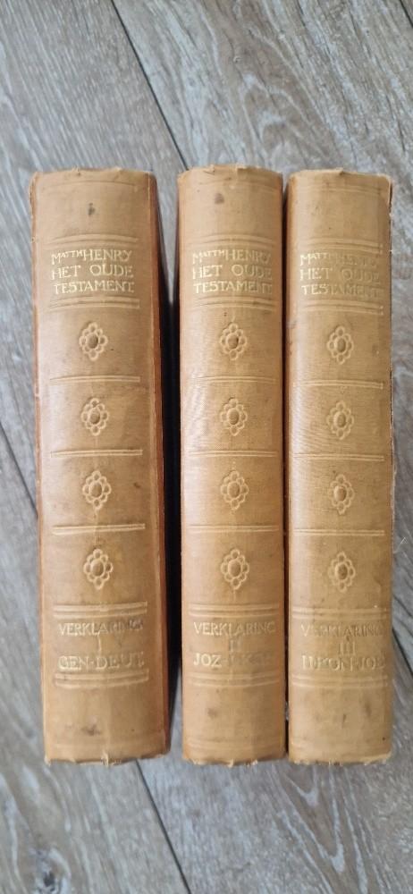 Matthew Henry, Dr H. Bavinck, Christendom | Protestants, Ophalen of Verzenden, Zo goed als nieuw
