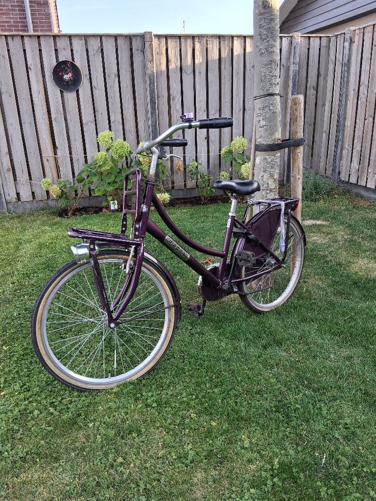 Paarse Meidenfiets - 24 inch, Fietsen en Brommers, Fietsen | Meisjes, Ophalen, Terugtraprem, Handrem, Popal