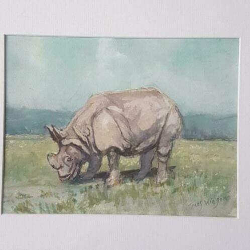 aquarel Neushoorn Trees Wiegman, Antiek en Kunst, Ophalen